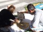 infiorata (14)